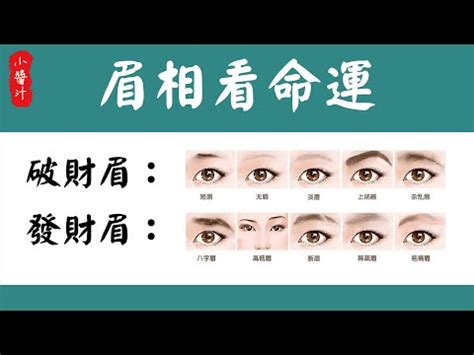 點眉面相|【點眉面相】眉毛大揭密！點眉面相，看穿你的健康、財運、個性。